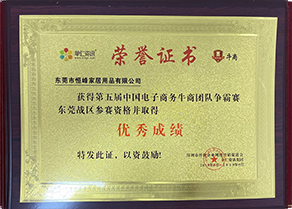 荣获第五届中国电子商务牛商团队