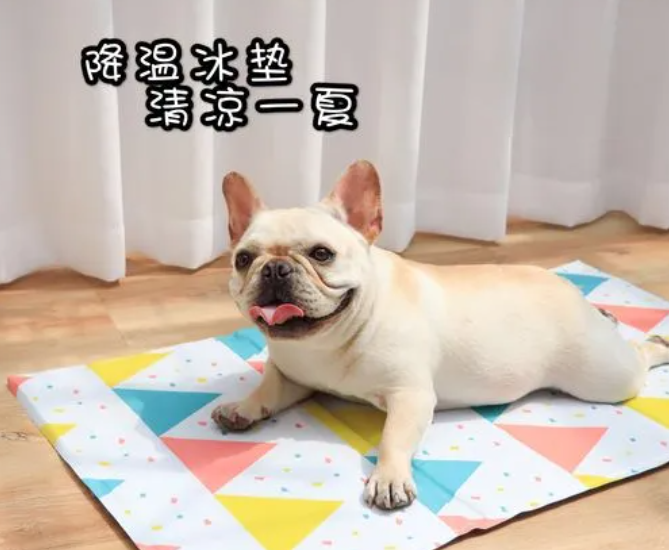宠物防滑垫